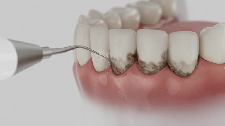 Reliable Dental contractor in Lewisburg, WV by Dentist Open Now